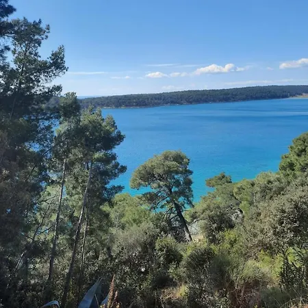 Ivana 게스트하우스 4*